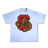 Grape Ice Cornell Big Red Urban Heavy Tee - linhVisuals