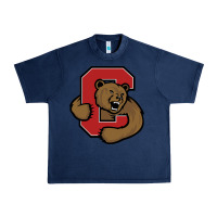 Navy Cornell Big Red Urban Heavy Tee - linhVisuals