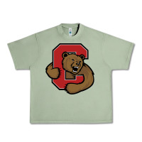Oil Green Cornell Big Red Urban Heavy Tee - linhVisuals