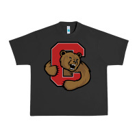 Pigment Black Cornell Big Red Urban Heavy Tee - linhVisuals