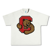 Pistachio Cornell Big Red Urban Heavy Tee - linhVisuals