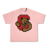 Salmon Cornell Big Red Urban Heavy Tee - linhVisuals
