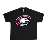 Black chadron state eagles Urban Heavy Tee - linhVisuals