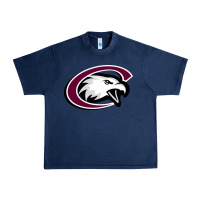 Navy chadron state eagles Urban Heavy Tee - linhVisuals