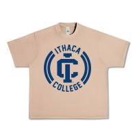 Burro ithaca college bombers Urban Heavy Tee - linhVisuals