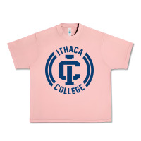 Salmon ithaca college bombers Urban Heavy Tee - linhVisuals