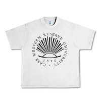 Lunar Rock case western reserve, university Urban Heavy Tee - linhVisuals