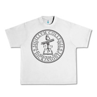 Lunar Rock dickinson, college Urban Heavy Tee - linhVisuals