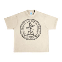 Sandshell dickinson, college Urban Heavy Tee - linhVisuals