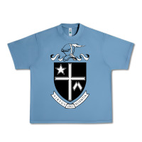 Pebble Blue la salle university Urban Heavy Tee - linhVisuals