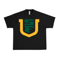 Black the usf dons Urban Heavy Tee - linhVisuals