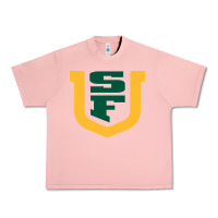 Salmon the usf dons Urban Heavy Tee - linhVisuals