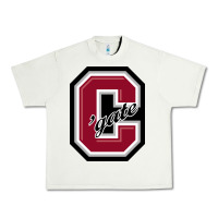 Pistachio colgate raiders Urban Heavy Tee - linhVisuals