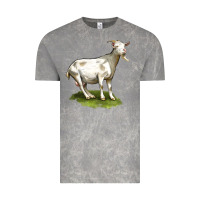 Cloud Rock cashmere goat Vintage Tee - LillyAllenDesigns