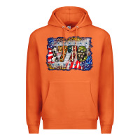 Carrot 1776 4th of july background Premium Hoodie - BarkalooDesign