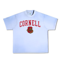 Grape Ice mens cornell big red apparel black fan favorite arch t shirt Urban Heavy Tee - linhVisuals