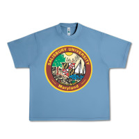 Pebble Blue salisbury university vectorized Urban Heavy Tee - linhVisuals