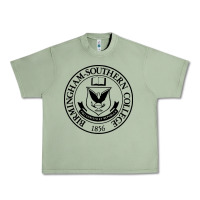 Oil Green Birmingham Southern College Urban Heavy Tee - linhVisuals