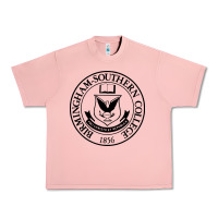 Salmon Birmingham Southern College Urban Heavy Tee - linhVisuals