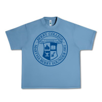 Pebble Blue Berry College Urban Heavy Tee - linhVisuals