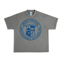 Tornado Berry College Urban Heavy Tee - linhVisuals