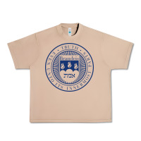 Burro Brandeis University Urban Heavy Tee - linhVisuals