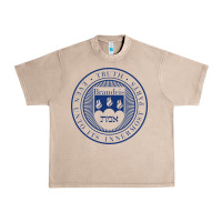 French Oak Brandeis University Urban Heavy Tee - linhVisuals