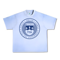 Grape Ice Brandeis University Urban Heavy Tee - linhVisuals
