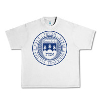 Lunar Rock Brandeis University Urban Heavy Tee - linhVisuals