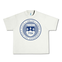 Pistachio Brandeis University Urban Heavy Tee - linhVisuals