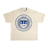 Sandshell Brandeis University Urban Heavy Tee - linhVisuals