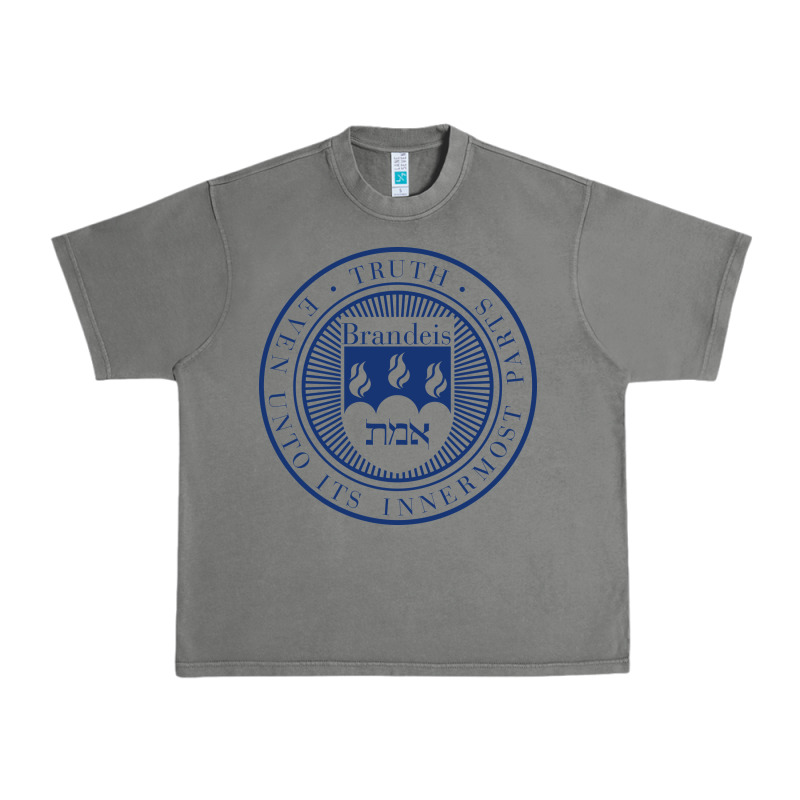 Brandeis University Urban Heavy Tee by linhVisuals | Teevron