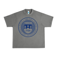 Tornado Brandeis University Urban Heavy Tee - linhVisuals
