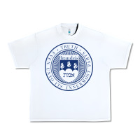 White Brandeis University Urban Heavy Tee - linhVisuals