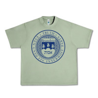 Oil Green Brandeis University Urban Heavy Tee - linhVisuals