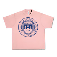 Salmon Brandeis University Urban Heavy Tee - linhVisuals