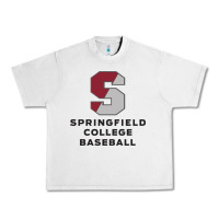 Lunar Rock springfield college Urban Heavy Tee - linhVisuals