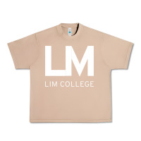Burro lim college Urban Heavy Tee - linhVisuals