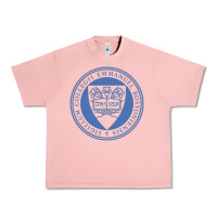 Emmanuel College Urban Heavy Tee | Teevron