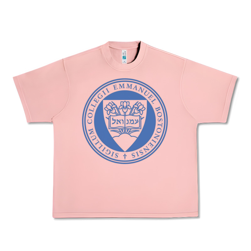 Emmanuel College Urban Heavy Tee by linhVisuals | Teevron