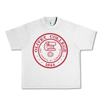 Lunar Rock olivet college vectorized Urban Heavy Tee - linhVisuals