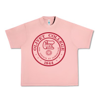 Salmon olivet college vectorized Urban Heavy Tee - linhVisuals