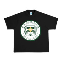Black st. norbert college Urban Heavy Tee - linhVisuals