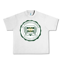 Lunar Rock st. norbert college Urban Heavy Tee - linhVisuals