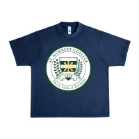 Navy st. norbert college Urban Heavy Tee - linhVisuals