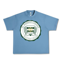 Pebble Blue st. norbert college Urban Heavy Tee - linhVisuals