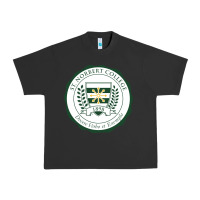 Pigment Black st. norbert college Urban Heavy Tee - linhVisuals