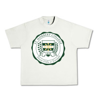 Pistachio st. norbert college Urban Heavy Tee - linhVisuals