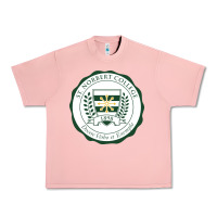 Salmon st. norbert college Urban Heavy Tee - linhVisuals