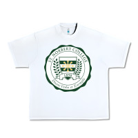 White st. norbert college Urban Heavy Tee - linhVisuals